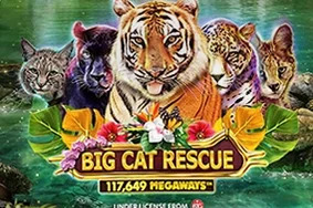Big Cat Rescue Megaways