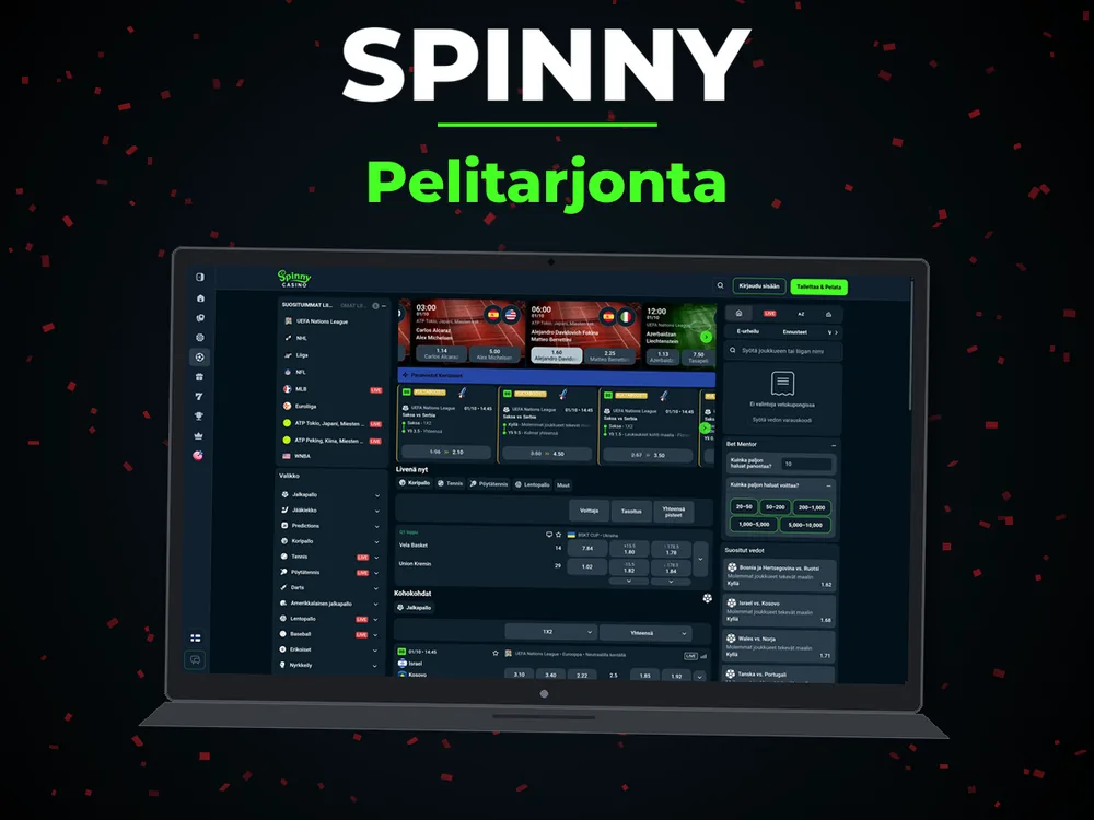 Spinny - Pelitarjonta