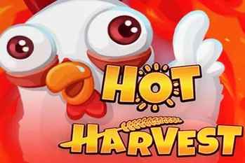 Hot Harvest